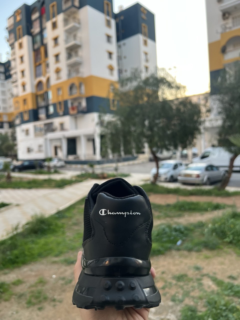 Sneaker Champion Noir — Style Urbain, Confort Absolu